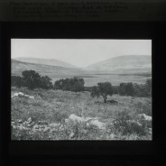 Böhl glass slide 61.3/1872